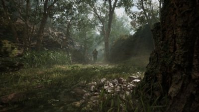Metal Gear Solid Delta: Snake Eater - Screenshot che mostra una giungla con un nemico in lontananza