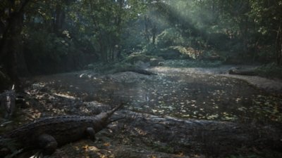 Metal Gear Solid Delta: Snake Eater - Screenshot di un laghetto in mezzo alla giungla circondato da coccodrilli